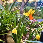 Isola Roger - Appartamento Con Giardino A Roma