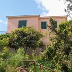 Antico Gelso Roma