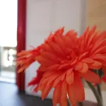 San Lorenzo Apartment