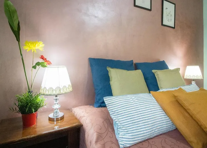B&B Colorful Suite Yard