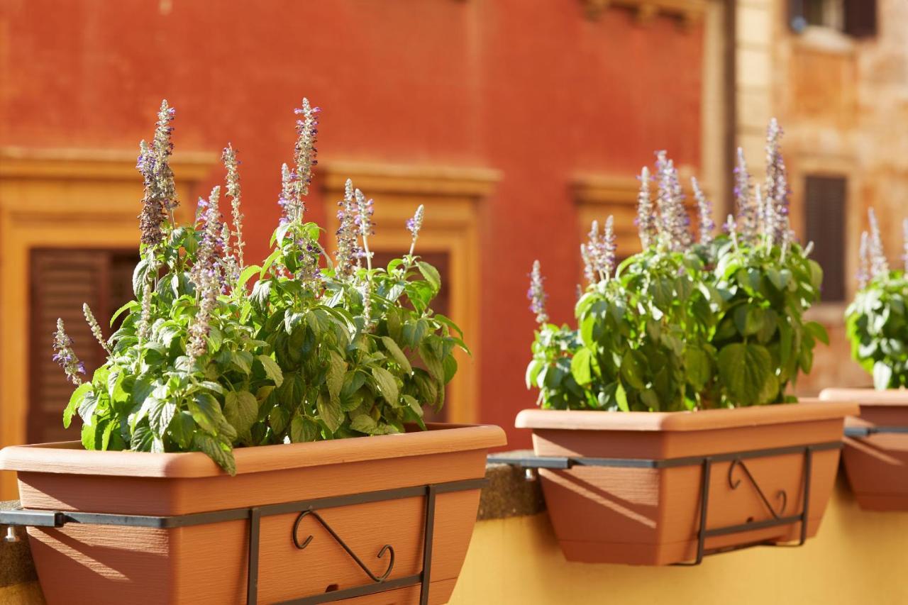 Ripagrande A Trastevere Guest house *