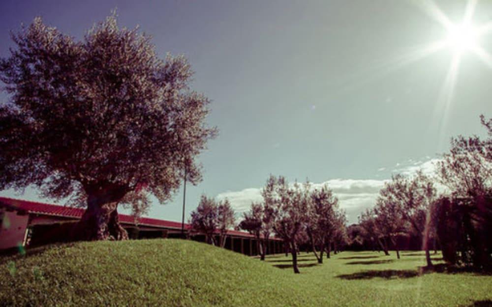 Ways Garden & Leisure Hotel Rome