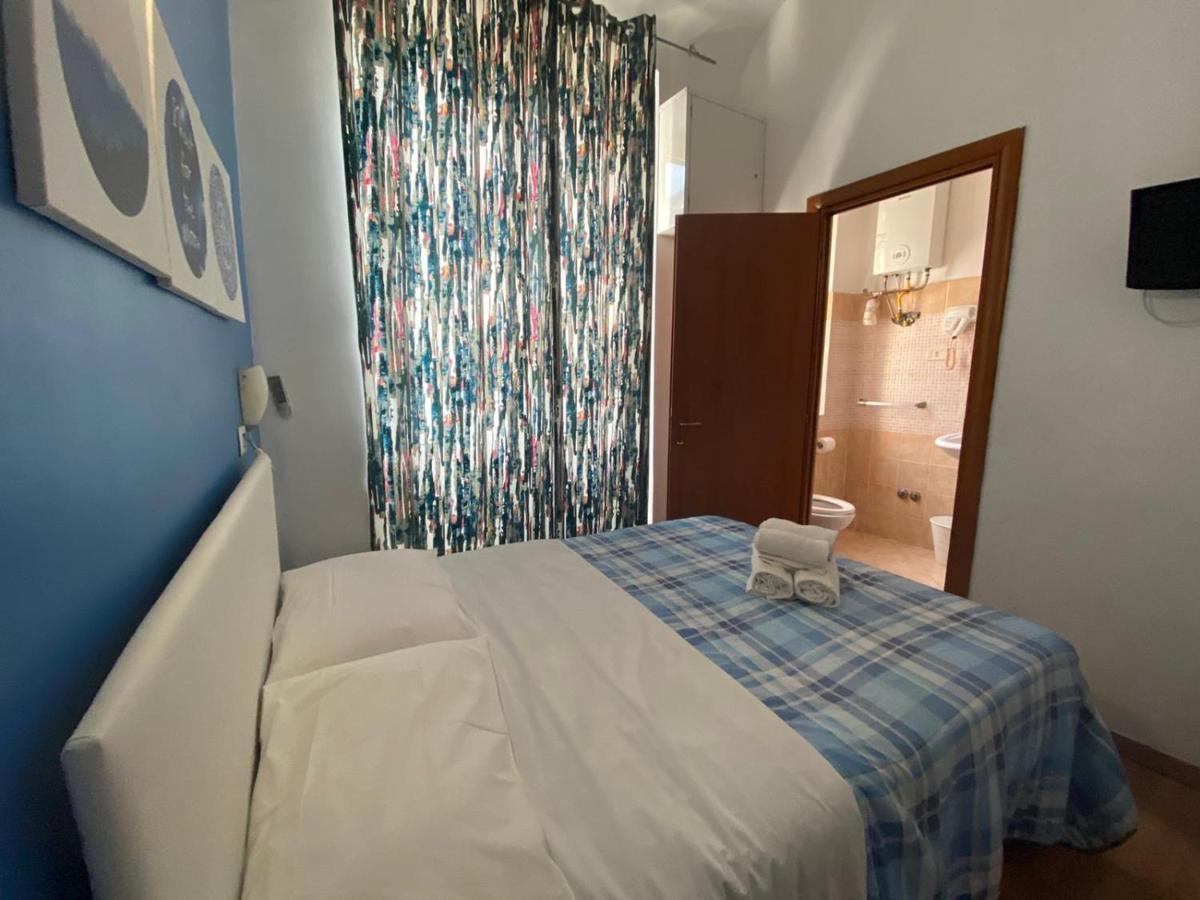 Hostel Freedom Traveller