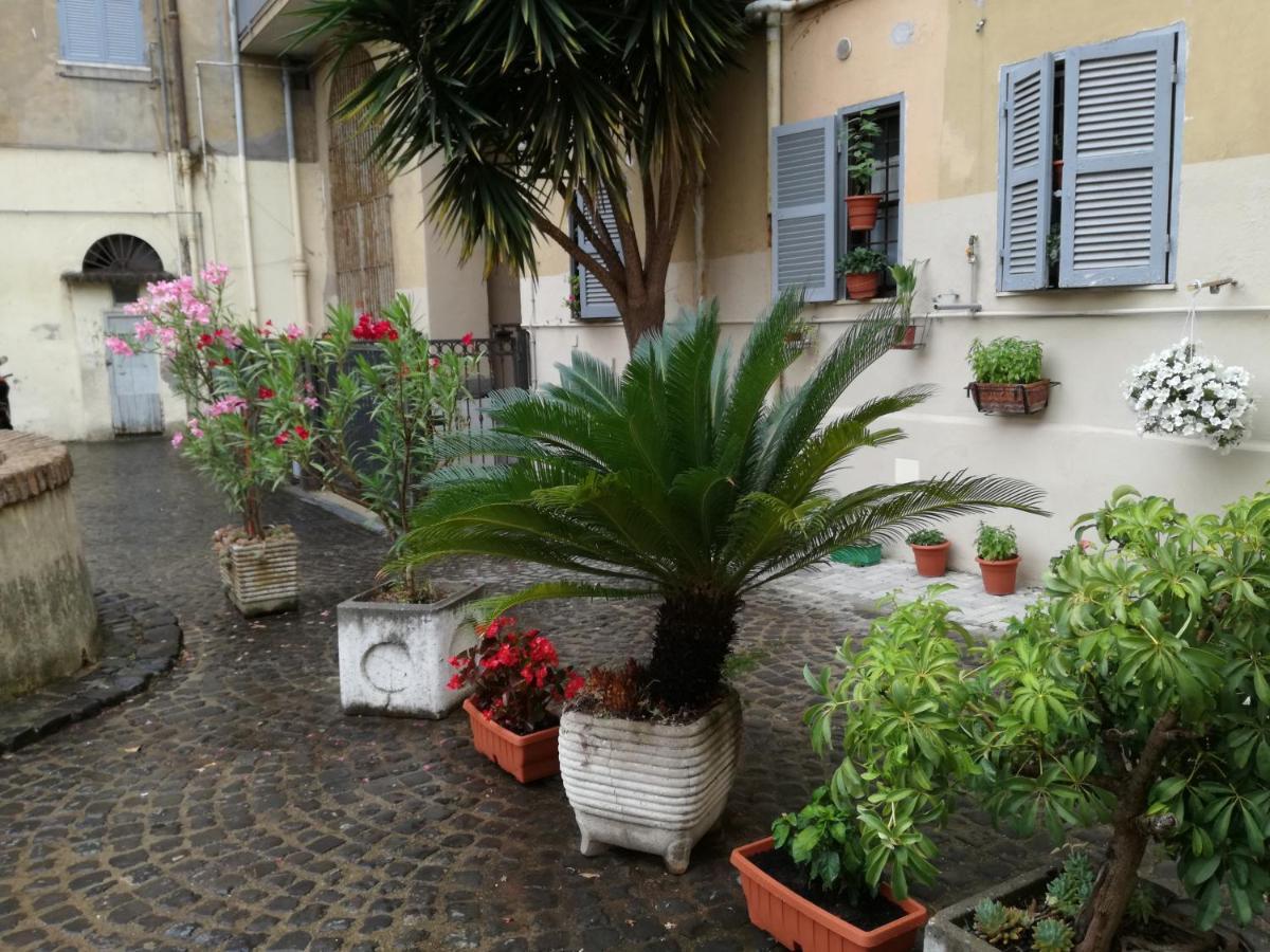 Homestay Trastevere, What Else...