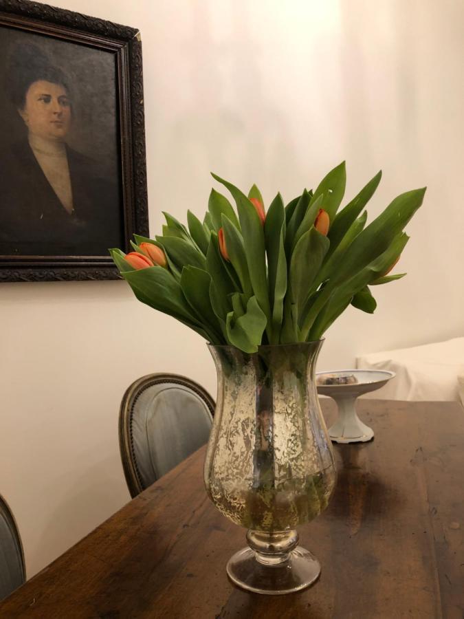 Apartment Visione Via Sant'andrea Delle Fratte, 36