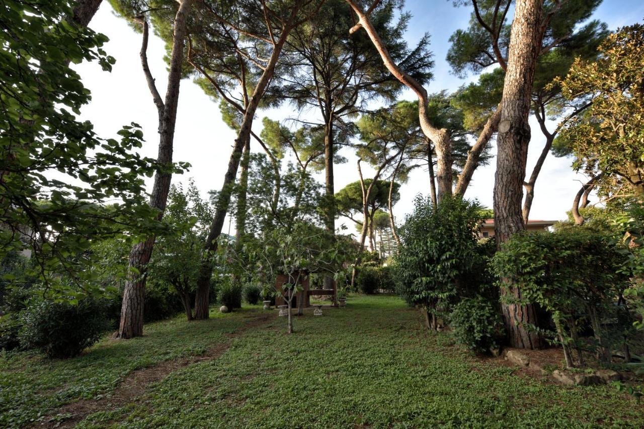 Affittacamere Comfort Gaia Tor Vergata Roma