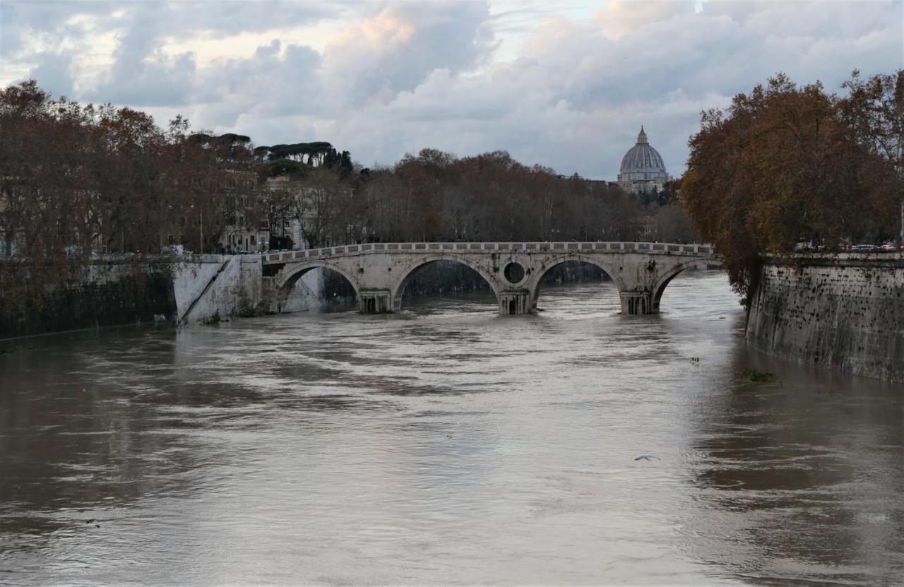 La Tana Di Sofia Affittacamere Roma