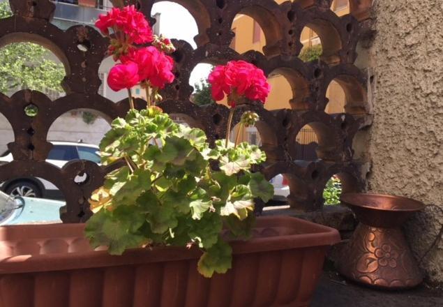 Bed & Breakfast Relais Fiorelli