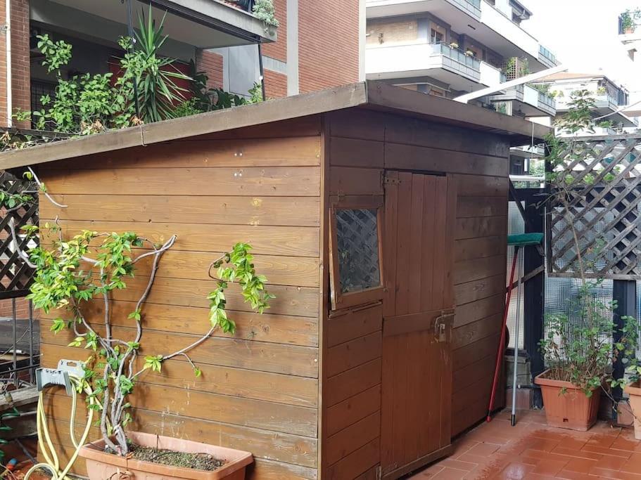 Apartment Icona Studio Monteverde *