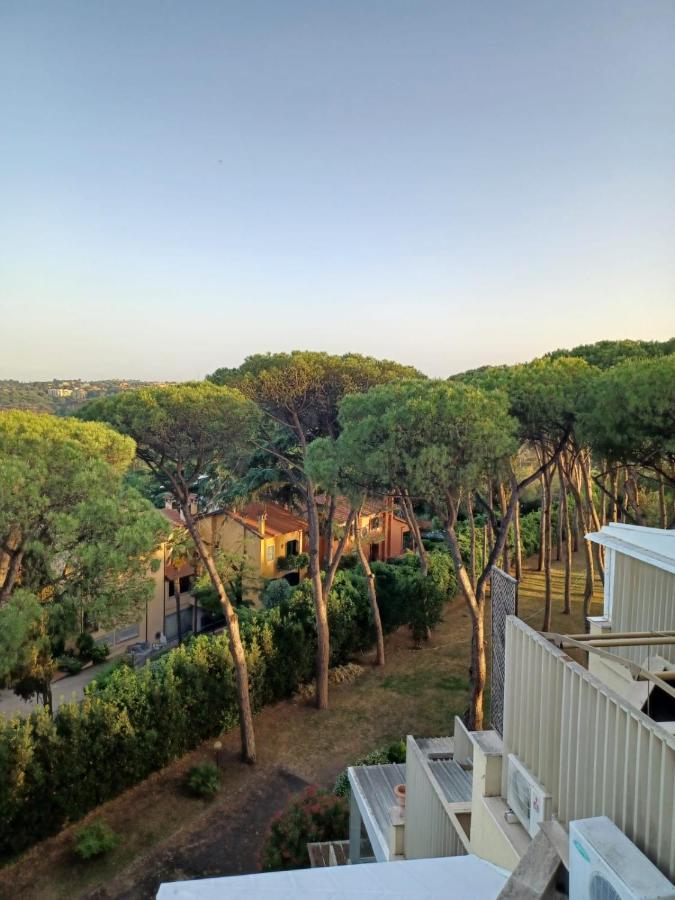 Parco Dei Pini Roma
