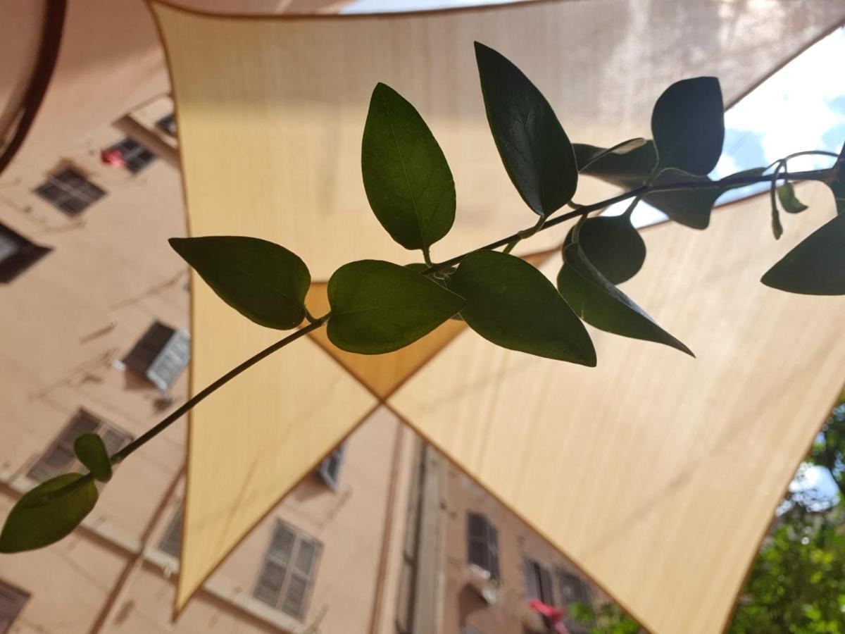 Lapo's Apartment's