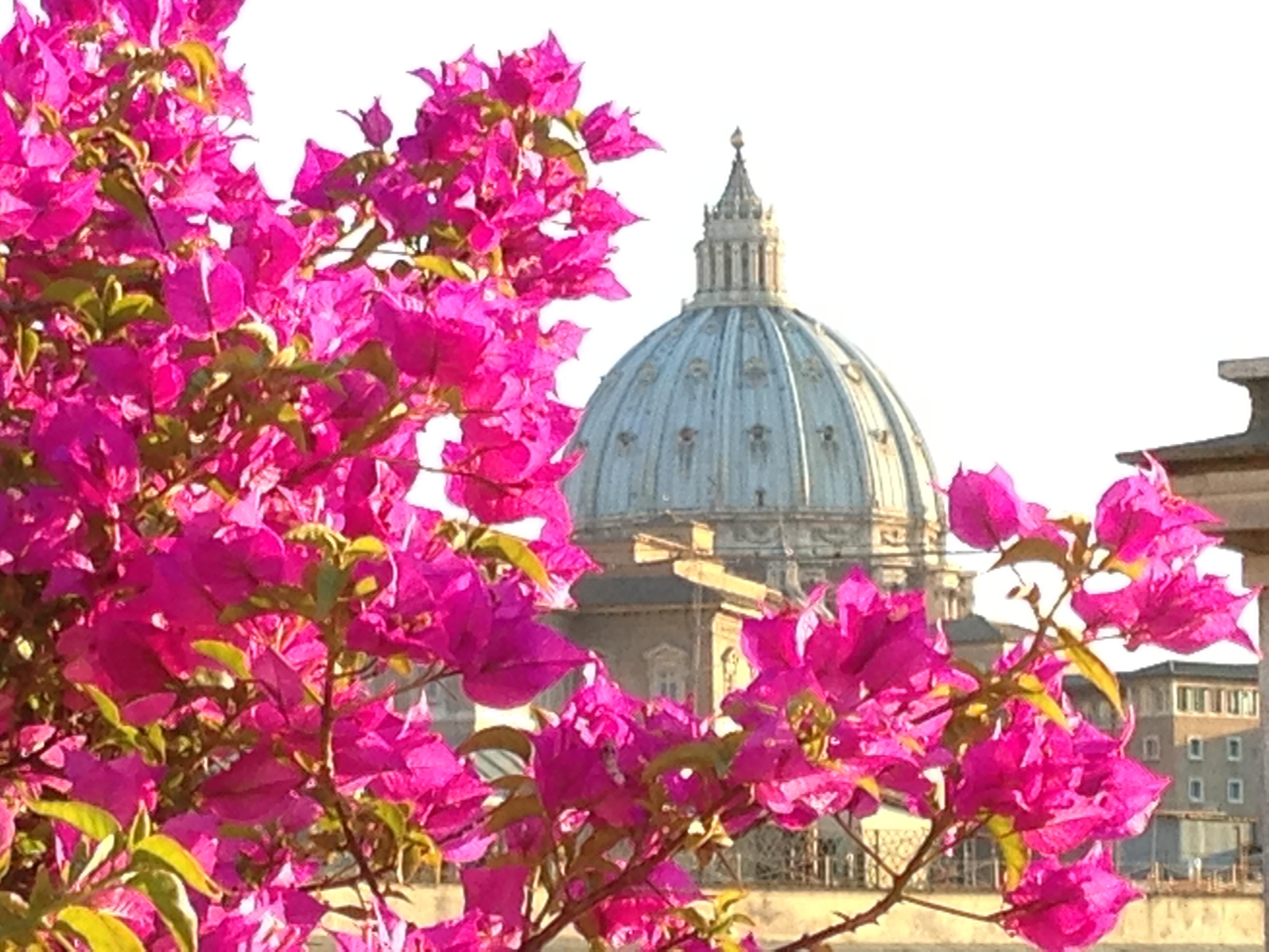 Dei Consoli Vaticano Hotel Rome