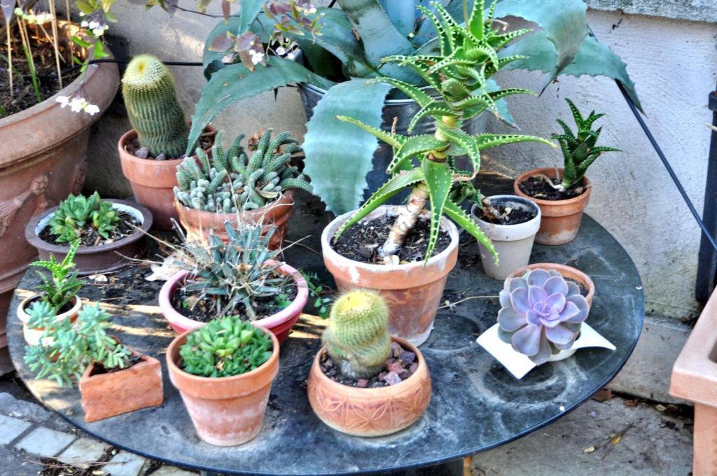 Il Boom Bed & Breakfast Roma