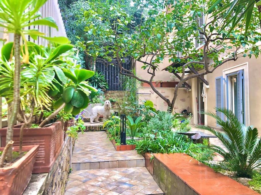 Isola Roger - Con Giardino A Holiday home *