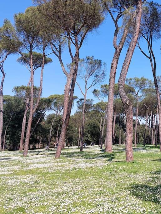 Apartment Magnifica In Centro Rome