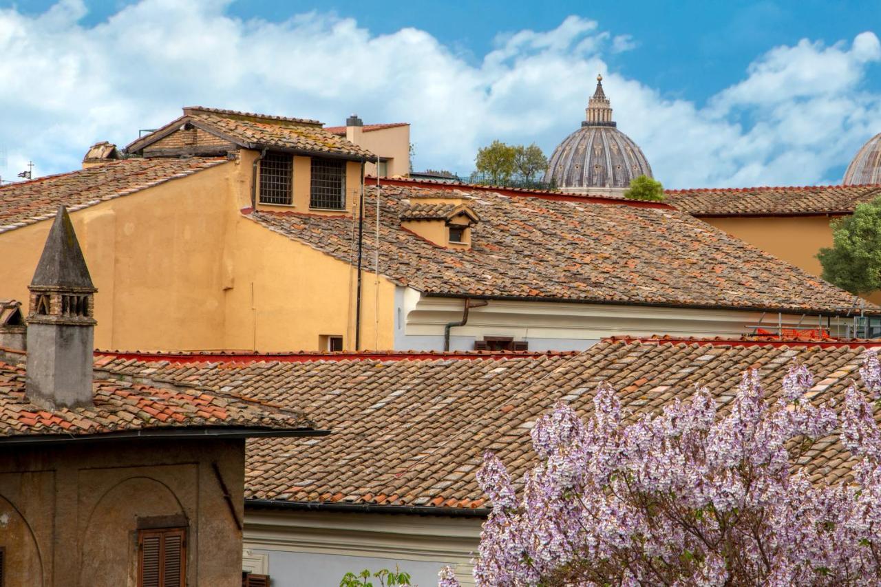 Navona Sky Palace Guest house *