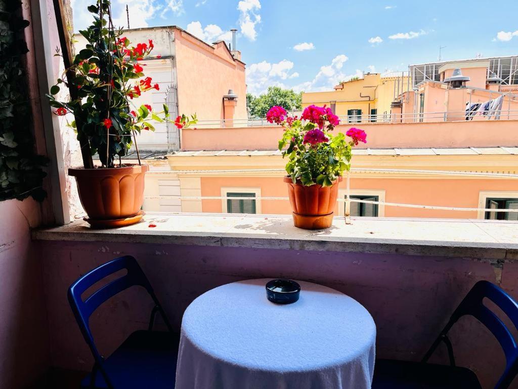 Guest house Hill Town Rome