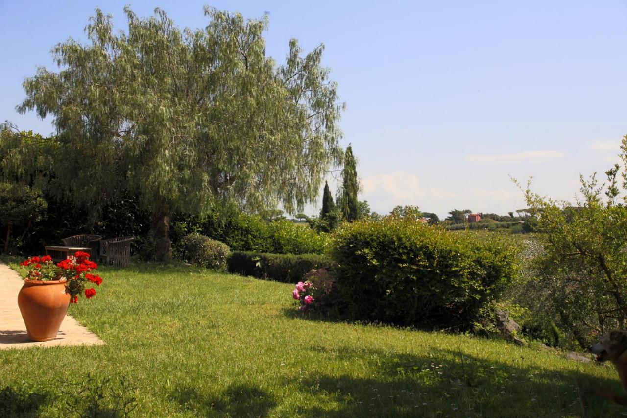 Appartamento Casa Fiorita Appia Antica *