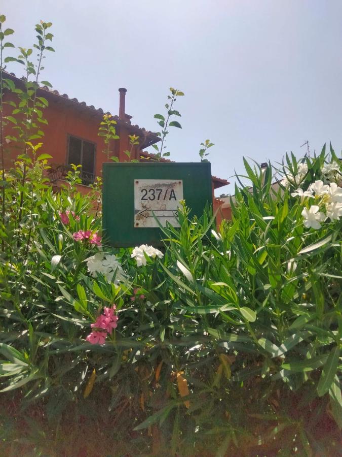 R&d Golden House Rome