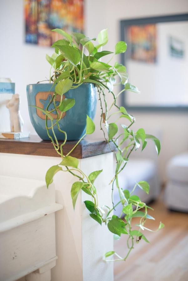 Your In Trastevere E Gianicolo Apartment