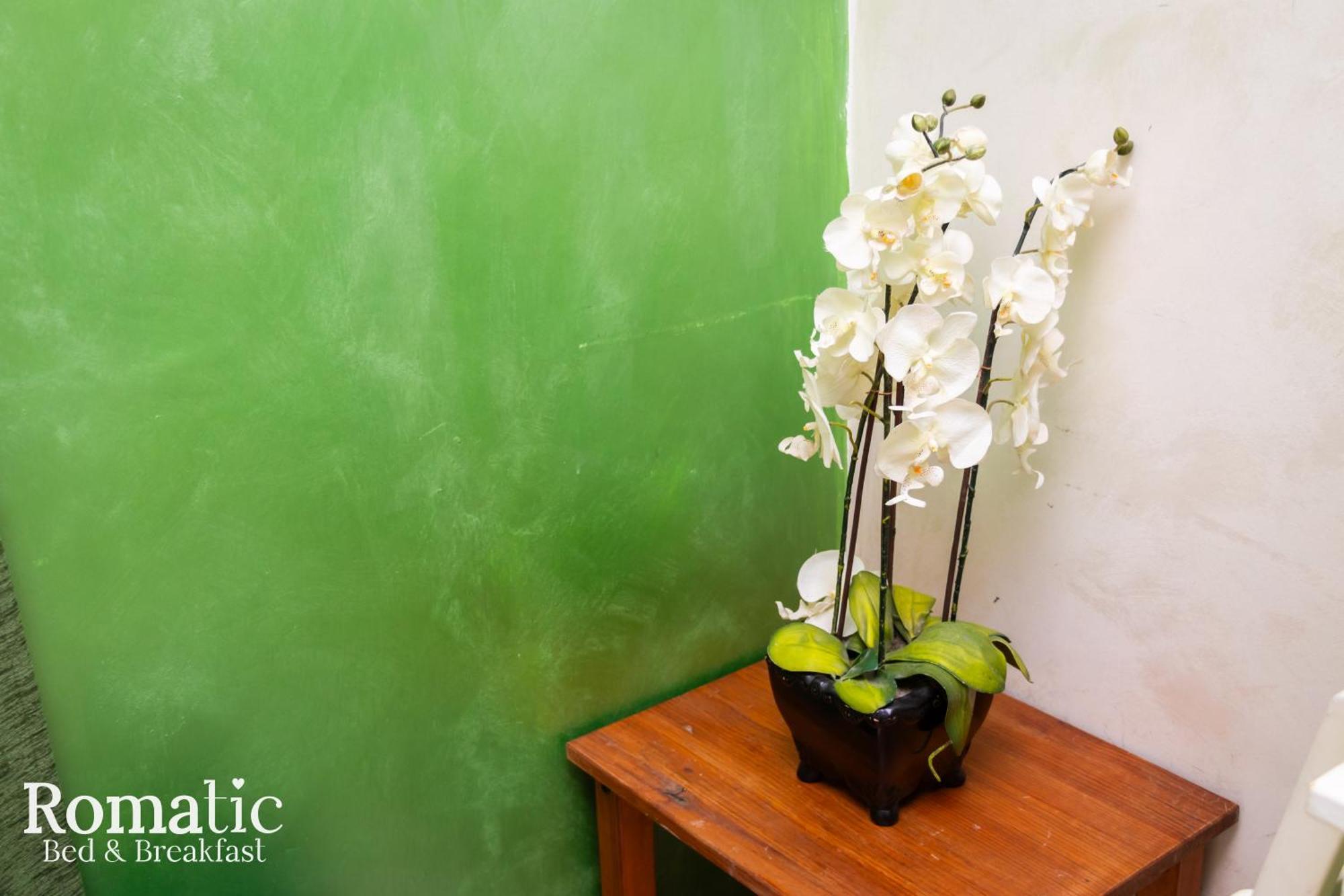 Guest house Romatic 2*