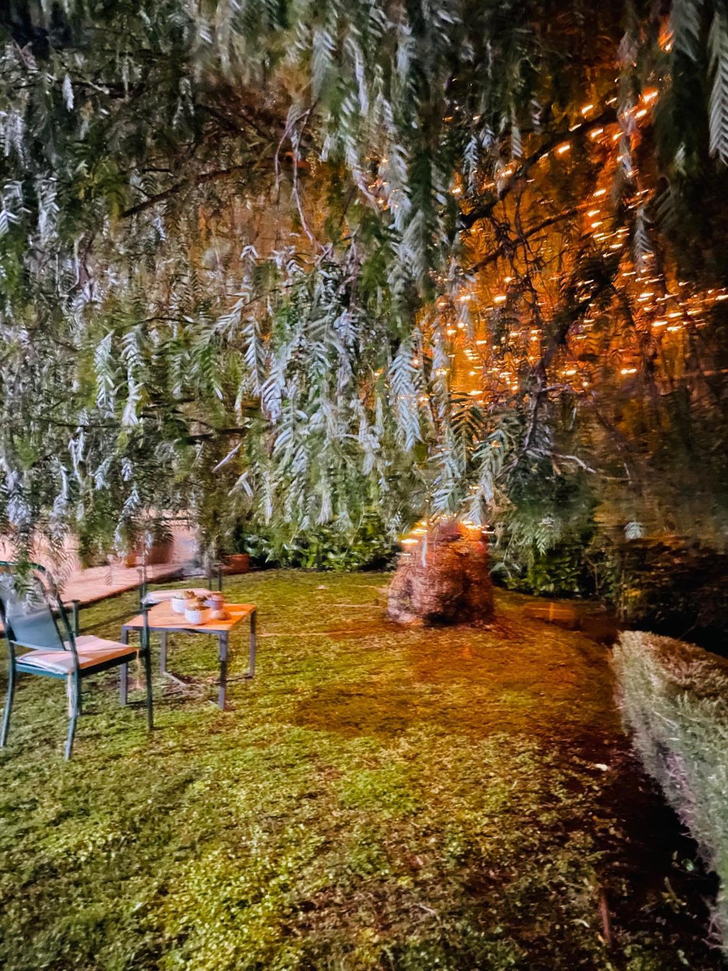 Casa Fiorita Appia Antica Appartamento *
