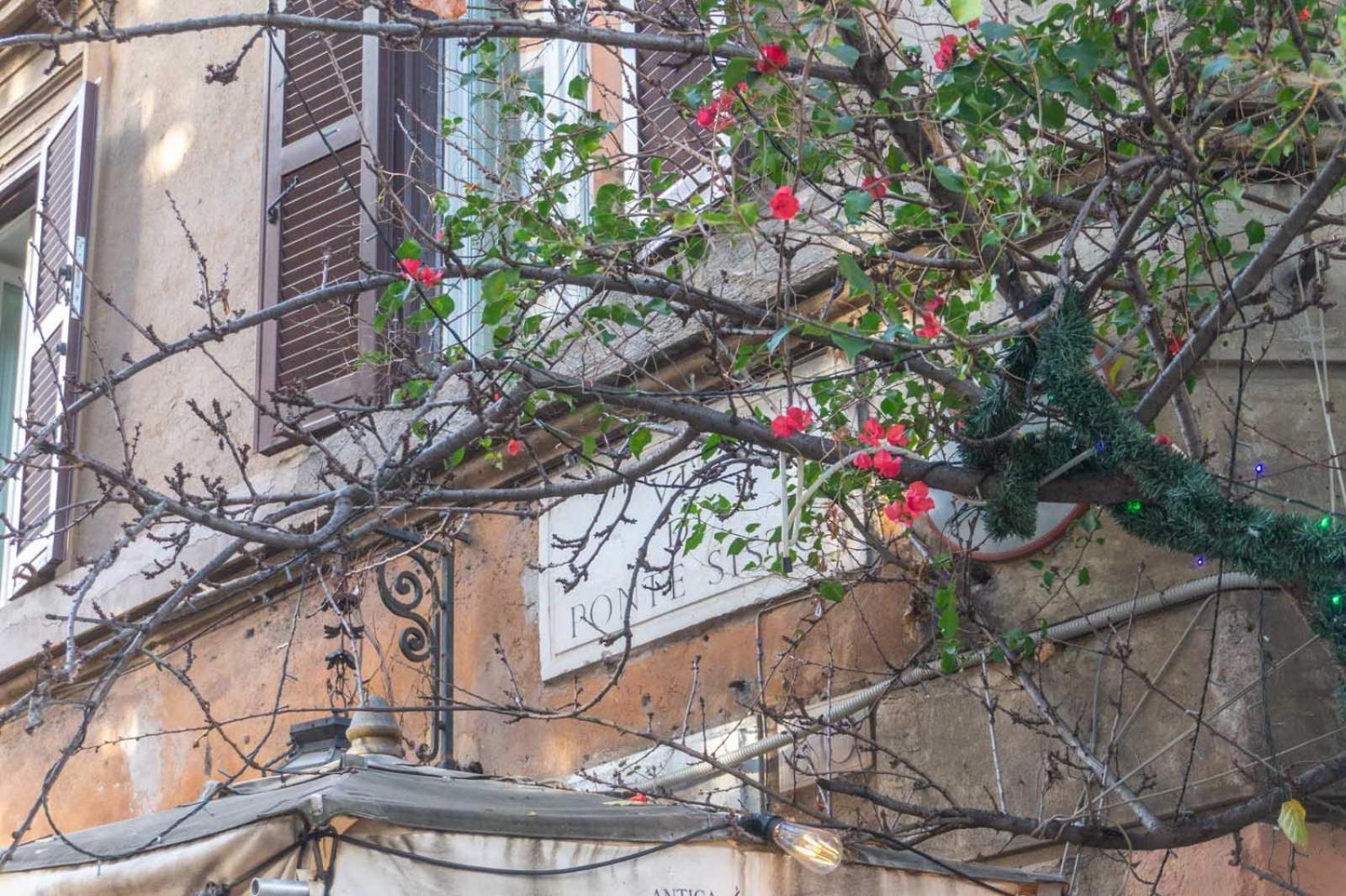 Lusso E Panorama Senza Paragoni, Loft Trastevere * Roma