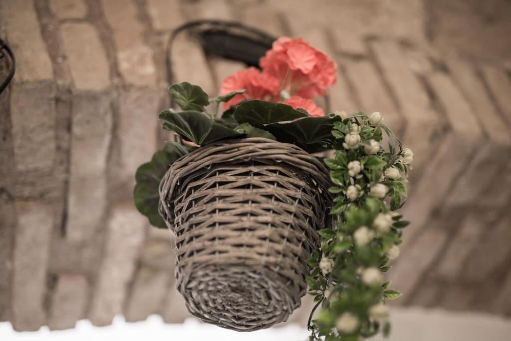 Apartment Shabby @trastevere