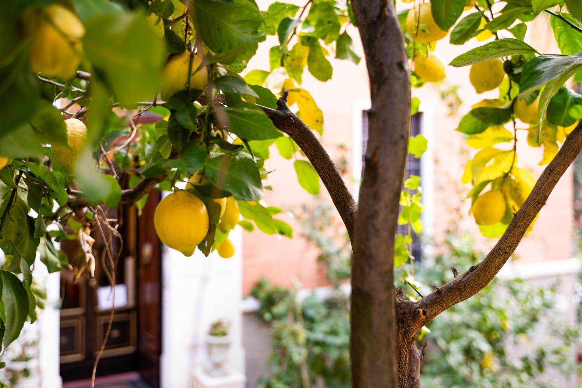Bed & Breakfast Contessa Arrivabene Antica Dimora