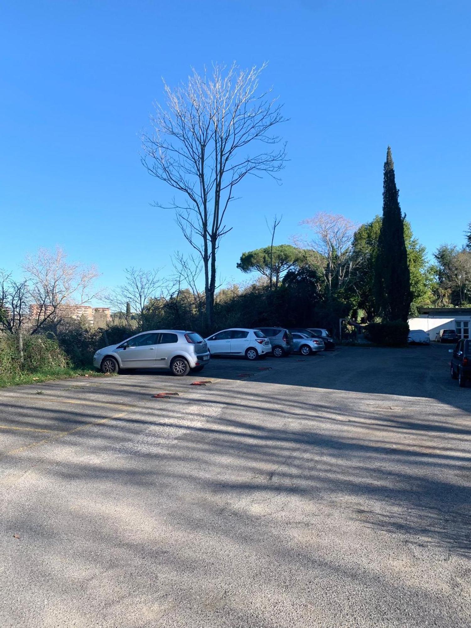 Apartment Aurelia House Garden Rome