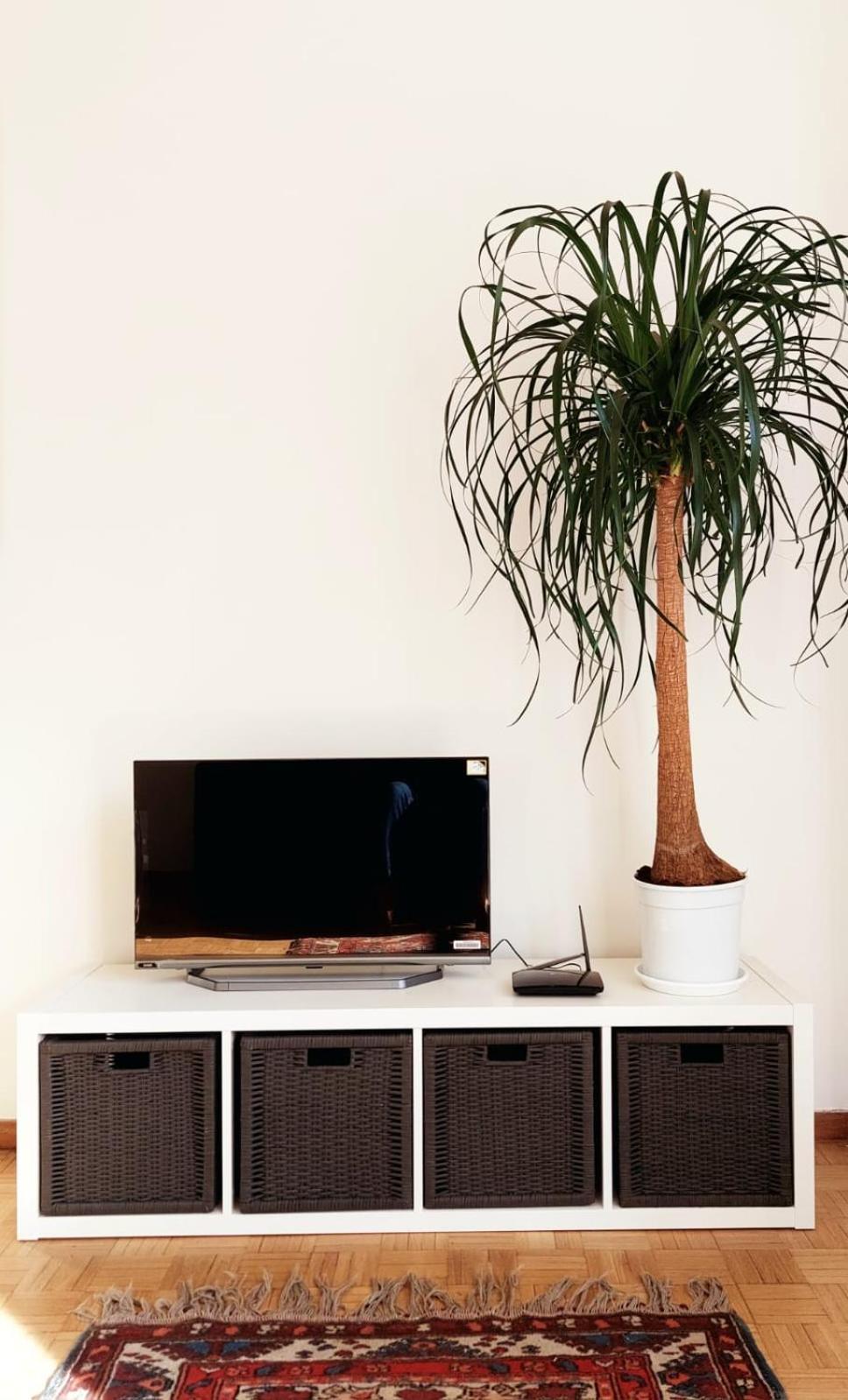 Oasi Urbana: Confort E Stile Apartment *