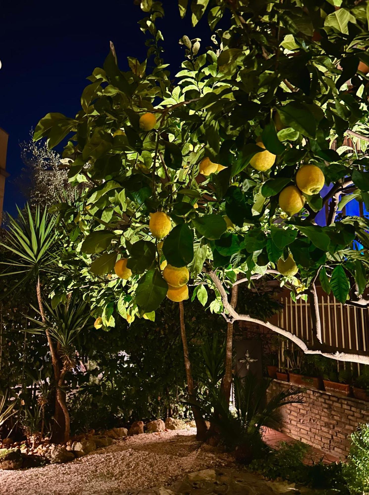 Isola Roger - Con Giardino A Holiday home