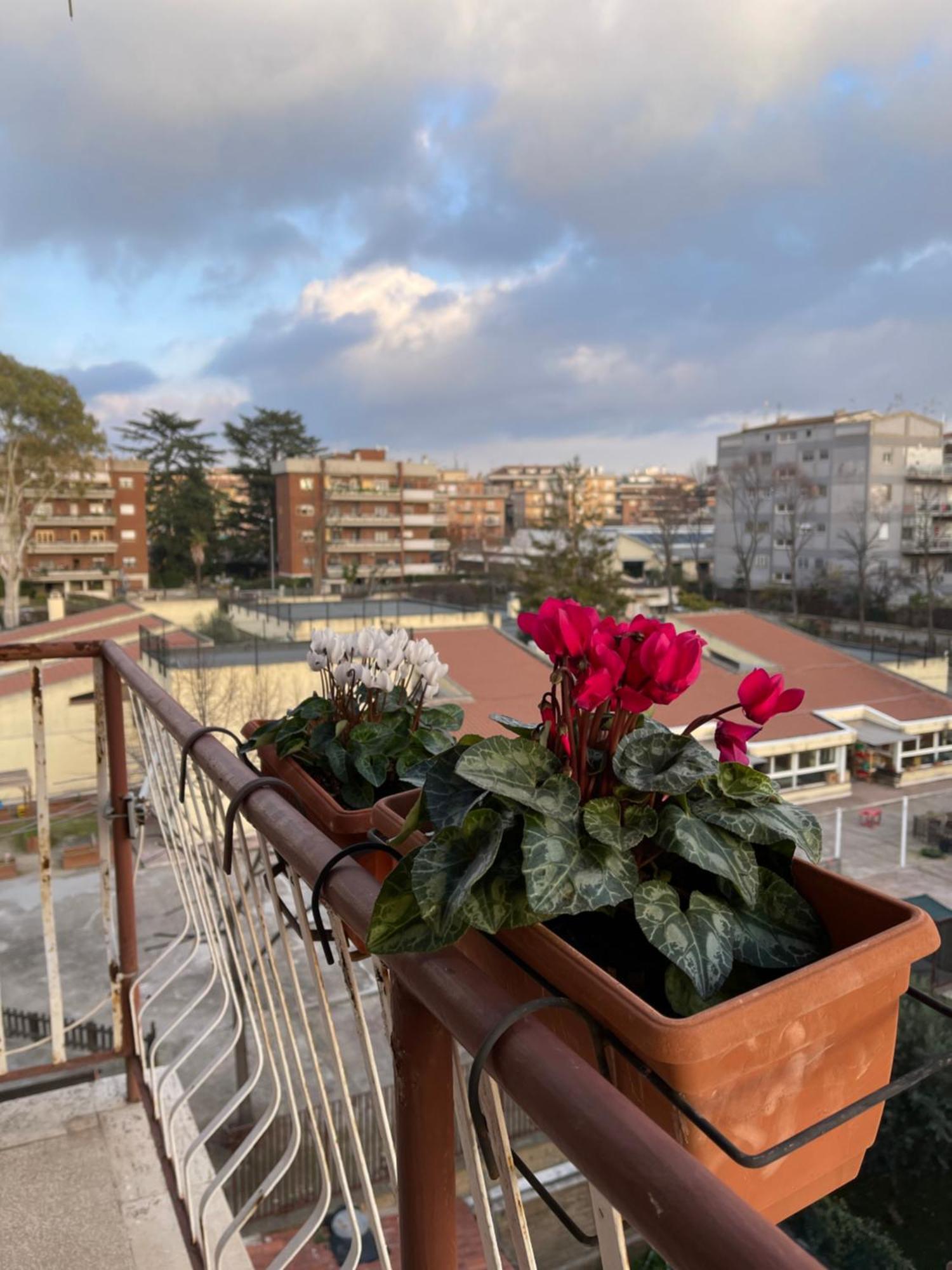 Ilaria's Rome