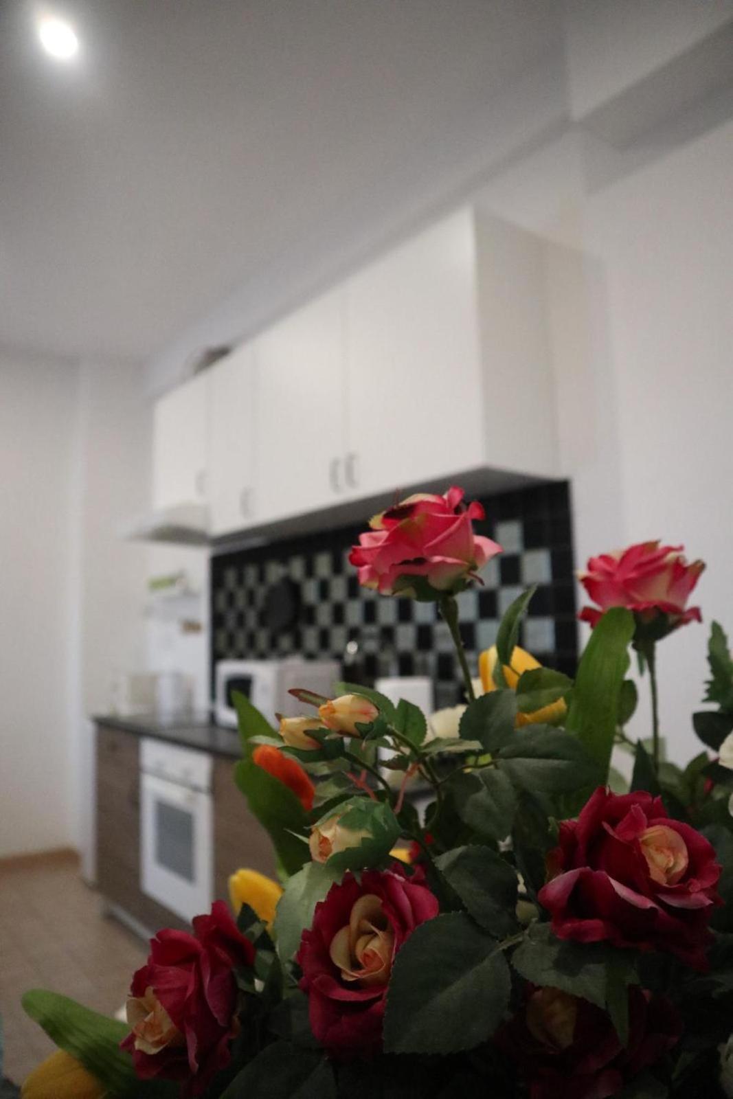 Ale Apartment Rome