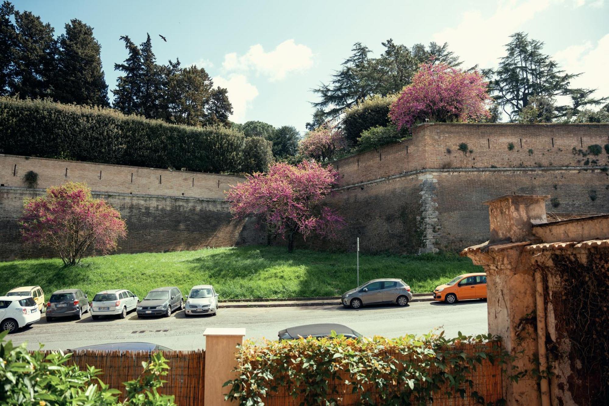 Art House Vaticano Luxury *