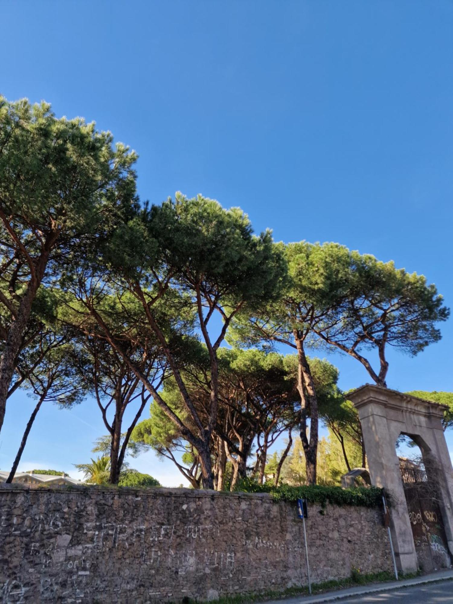 Apartment Vacanze Romane - Vatican