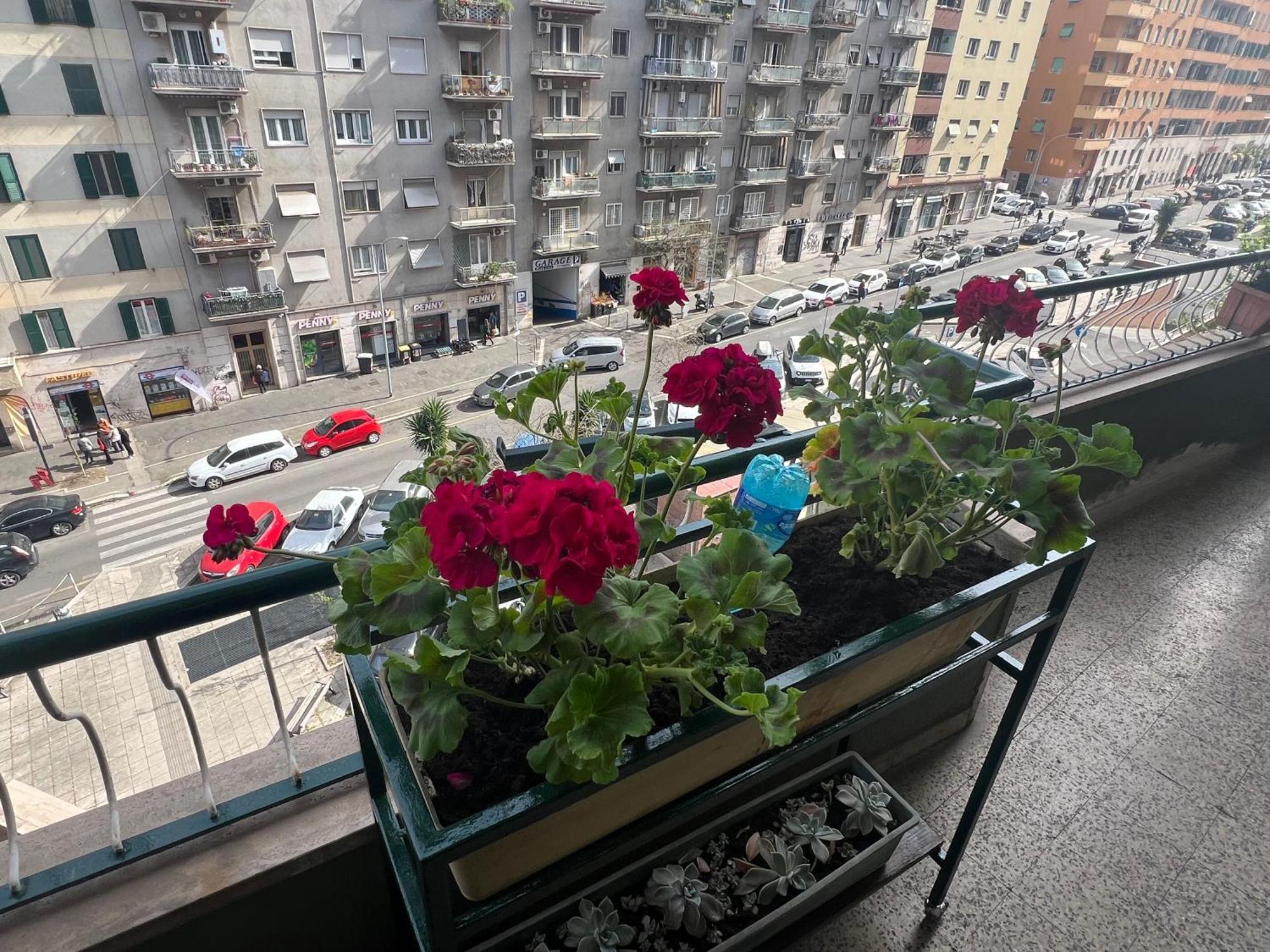 Valentina House Apartment Rome