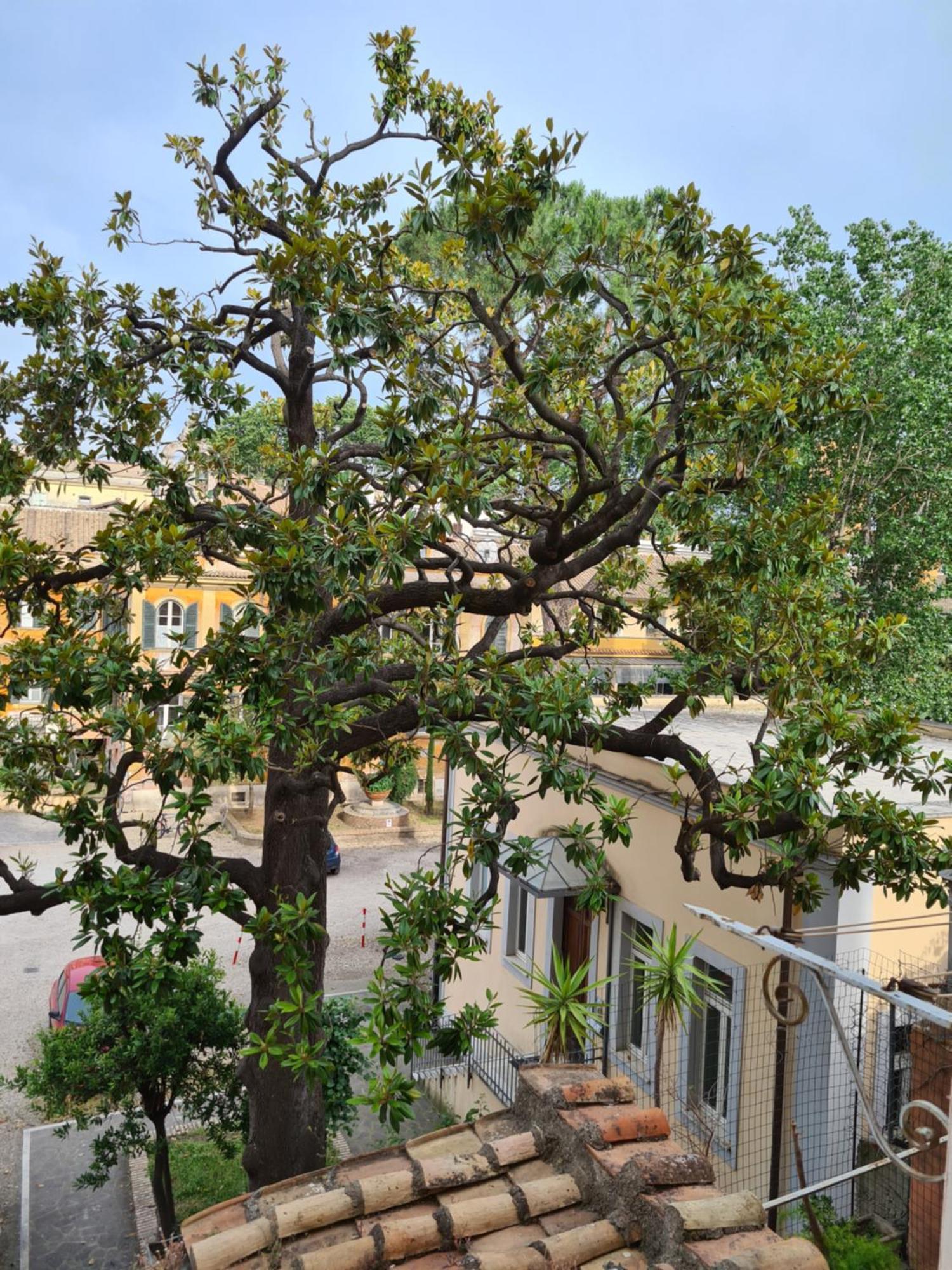 Al Campanile Trastevere