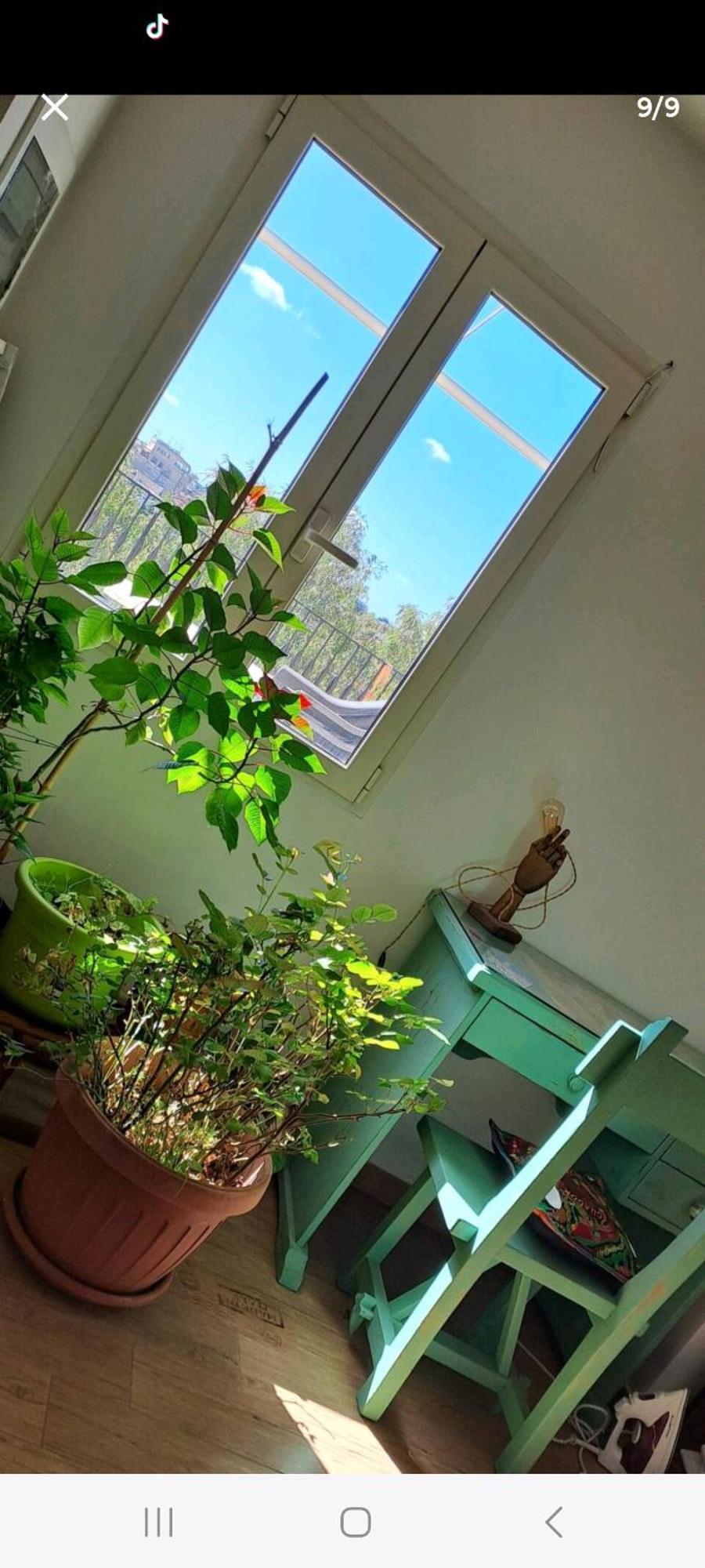 Alloggio in famiglia Stanza In Superattico, Terrazzato, Luminoso, Accogliente, Bagno Privato *