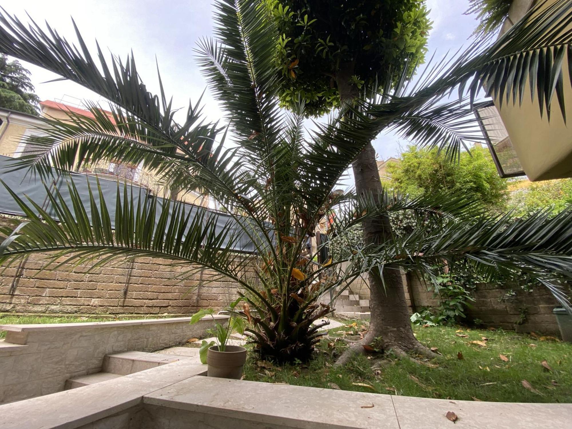 Garden House