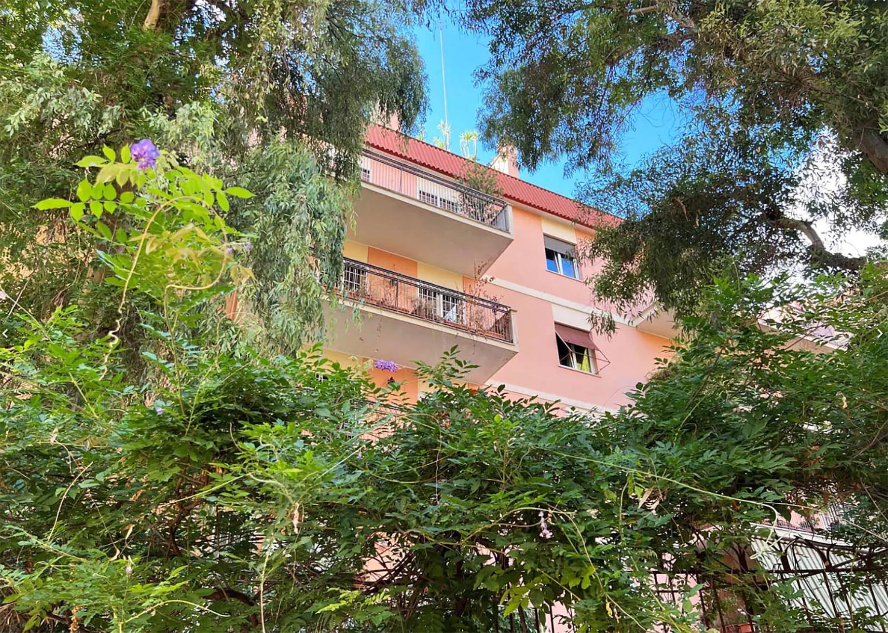 6ponza Mansion Nature *