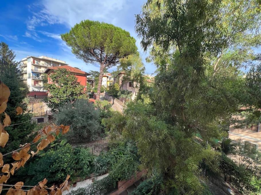 6ponza Mansion Nature Apartment