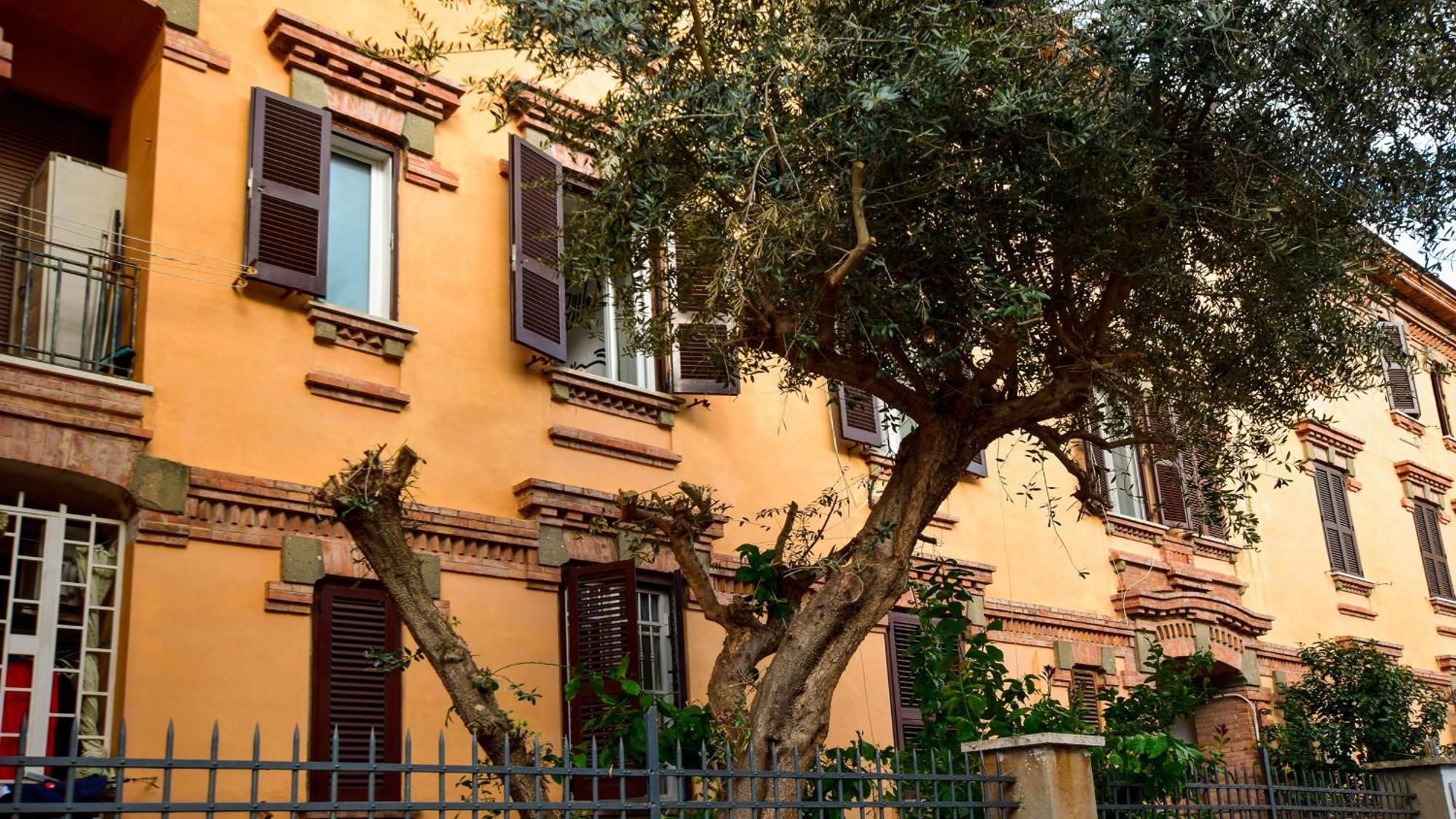 Apartment Saba *