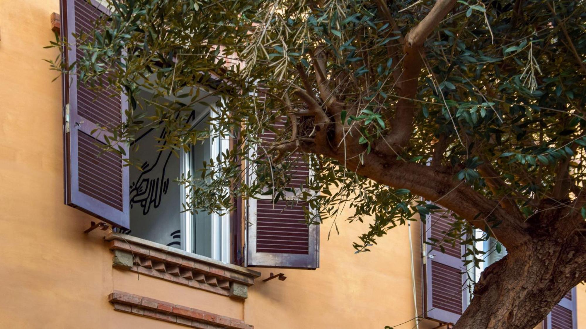 Saba Rome