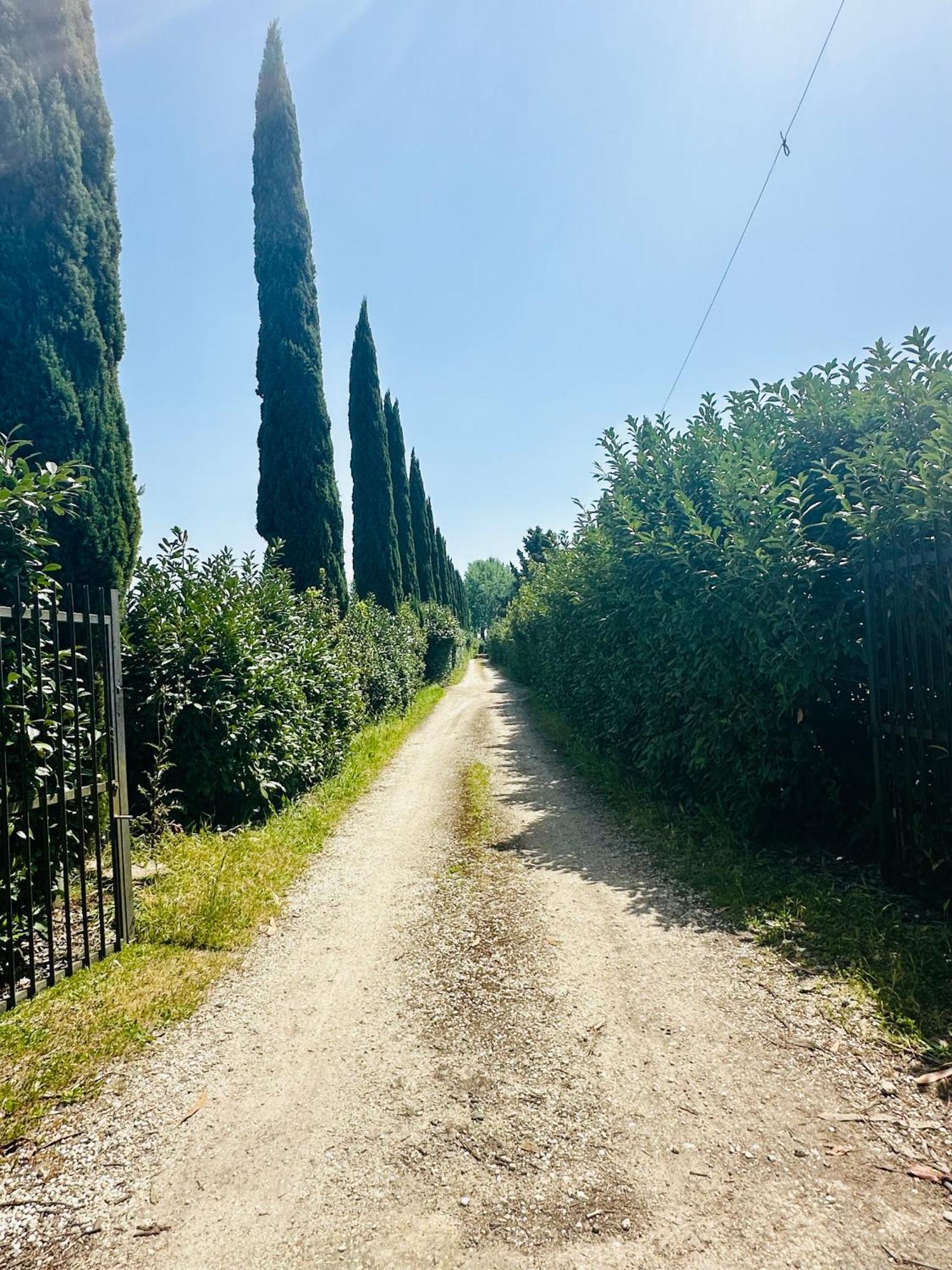- Country House, Rent- Guest house Rome