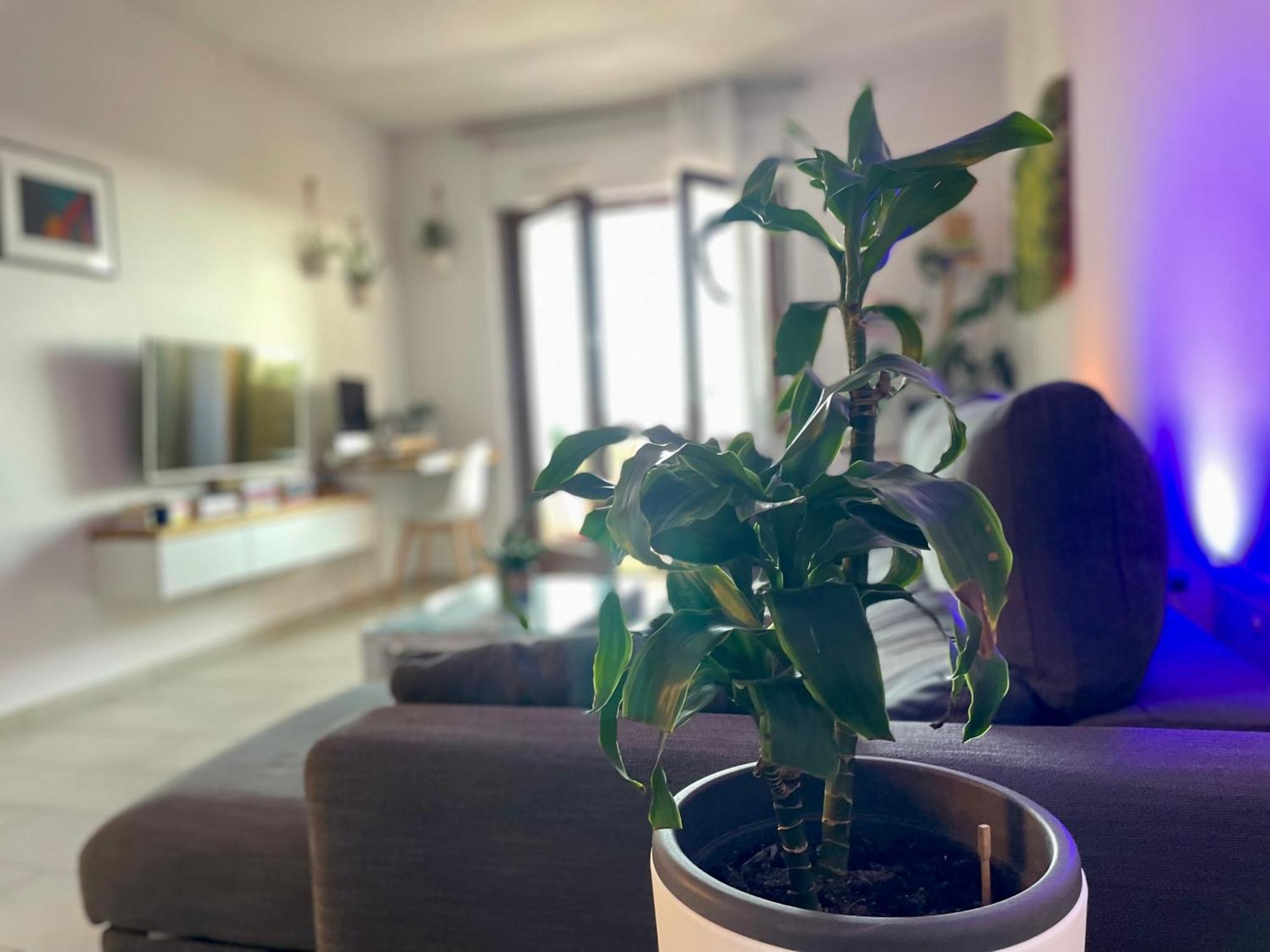 Greenchill House - West Appartamento