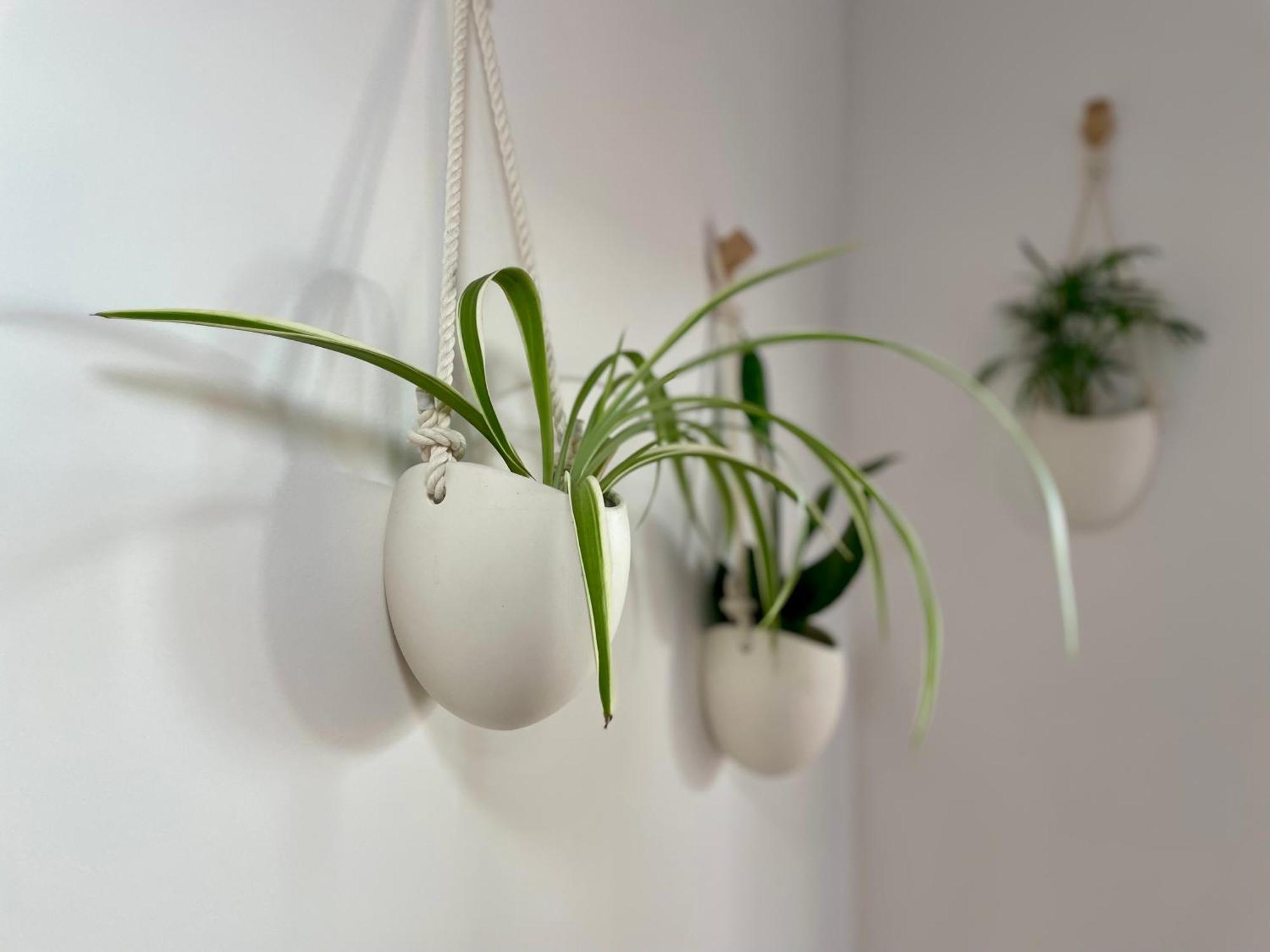 Appartamento Greenchill House - West *