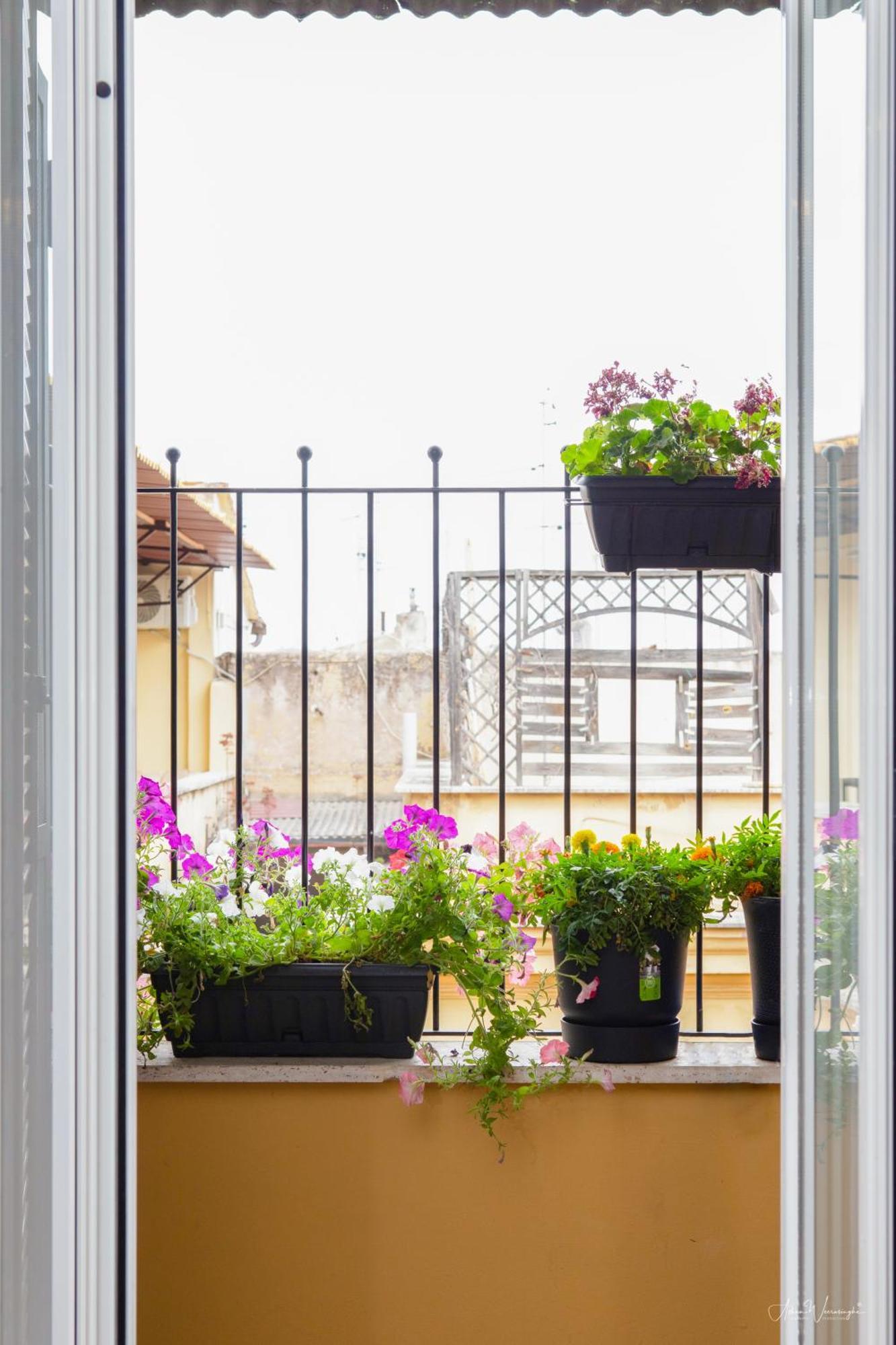Guest house Magikrooms Topaz