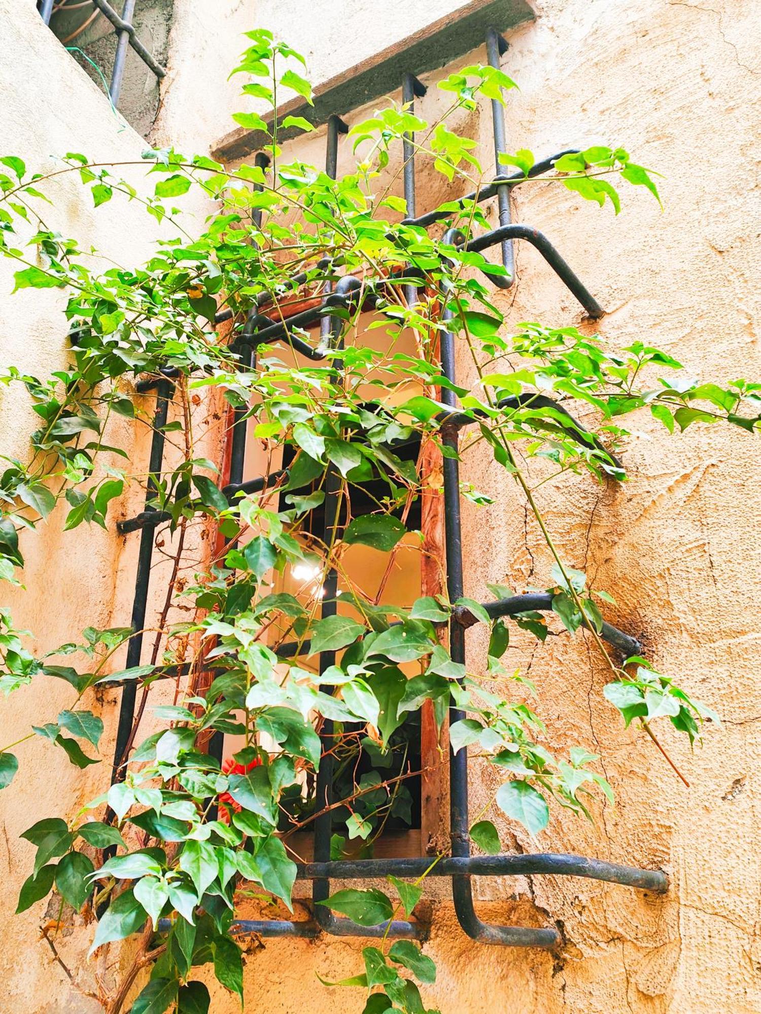 Diva Dependance Navona Roma