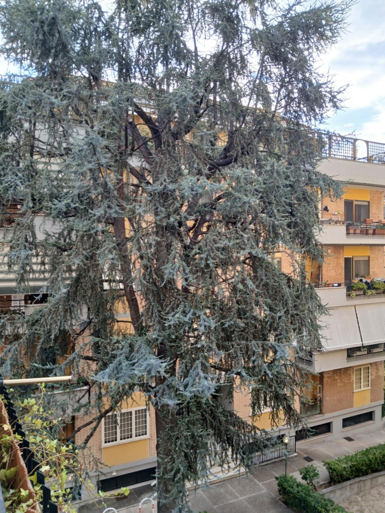 La Casa Di Antonella E Giuseppe * Rome